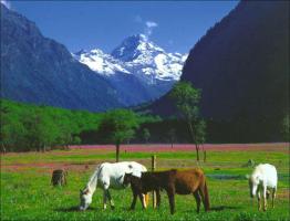 Siguniang Mountain